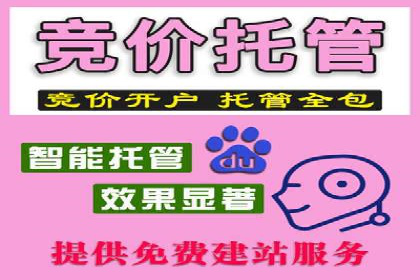 某某sem代运营推广公司案例分享：快速提升网站流量